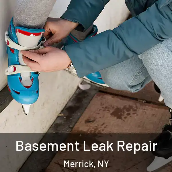  Basement Leak Repair Merrick, NY