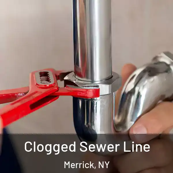  Clogged Sewer Line Merrick, NY