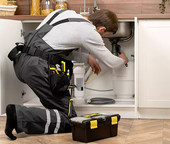 Certified Plumbers for Insinkerator Installation in Merrick