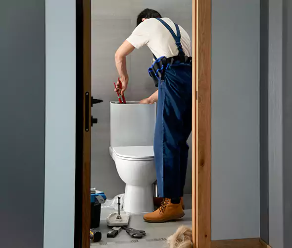 Professional Plumbers for Toilet Bowl Replacement in Merrick, NY: Schedule Affordable Toilet Replacement Services With Us