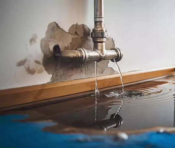 Professional Water Damage Restoration Experts in Merrick, NY — Fast, Reliable & Certified