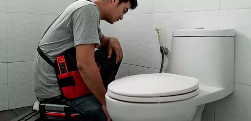 Toilet Repair in Merrick