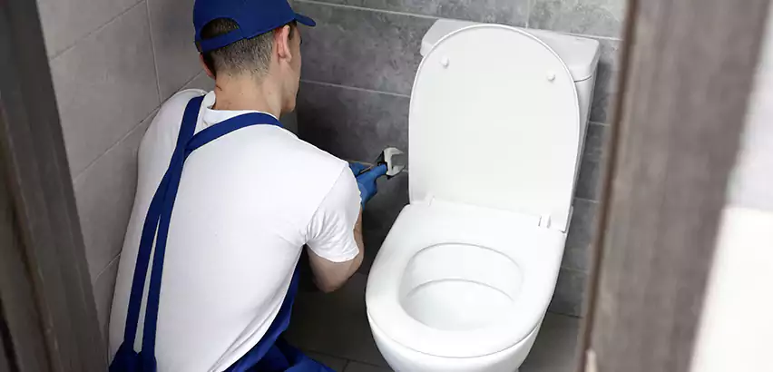 Toilet Lid Replacement in Merrick