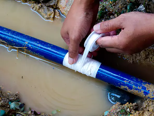  Why Choose Merrick Plumbing Pro for Leak Detection in Merrick, NY?]
