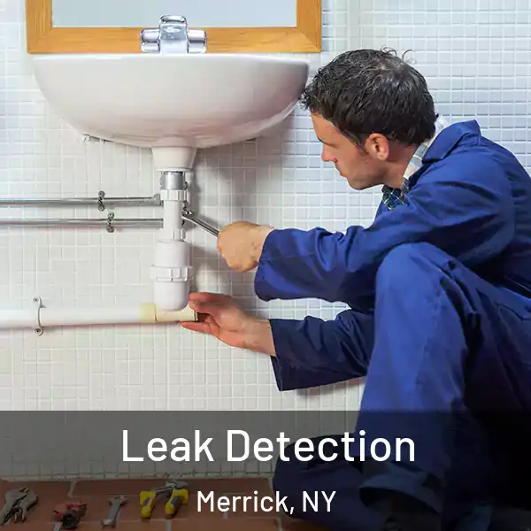  Leak Detection Merrick, NY
