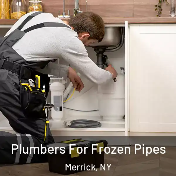  Plumbers For Frozen Pipes Merrick, NY
