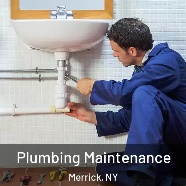  Plumbing Maintenance Merrick, NY