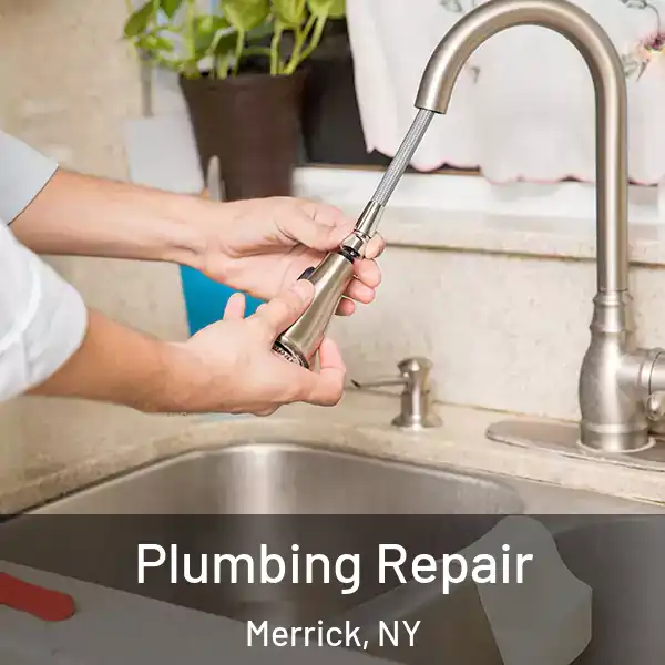  Plumbing Repair Merrick, NY