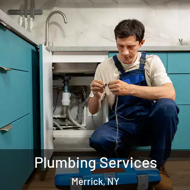  Plumbing Services Merrick, NY