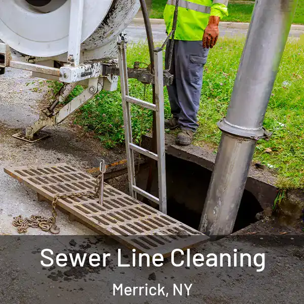  Sewer Line Cleaning Merrick, NY