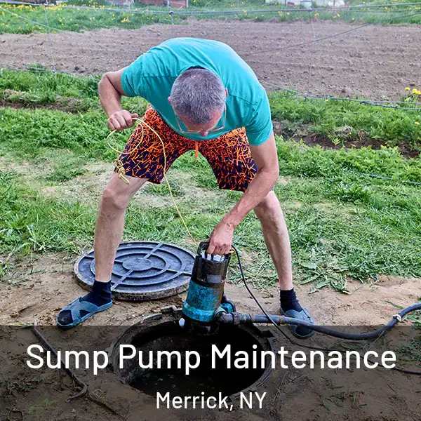  Sump Pump Maintenance Merrick, NY