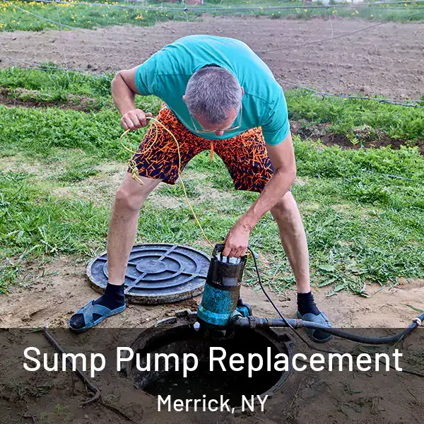  Sump Pump Replacement Merrick, NY