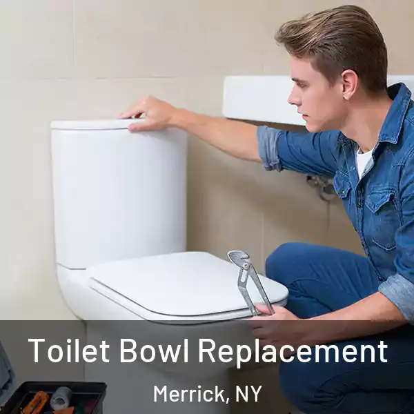  Toilet Bowl Replacement Merrick, NY