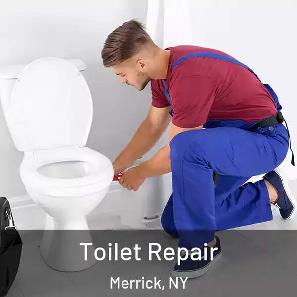  Toilet Repair Merrick, NY