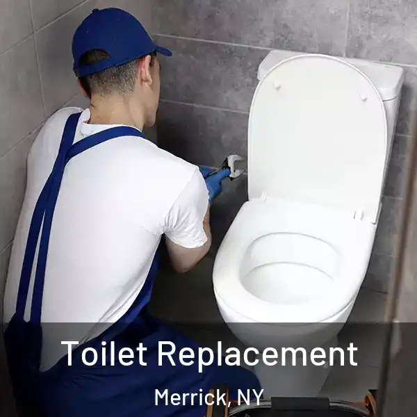  Toilet Replacement Merrick, NY