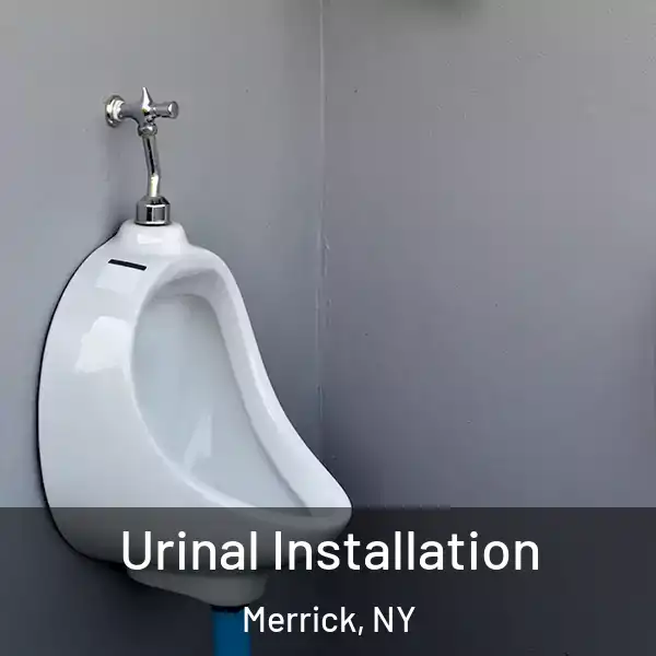  Urinal Installation Merrick, NY
