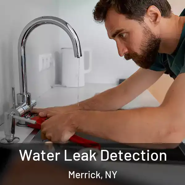  Water Leak Detection Merrick, NY
