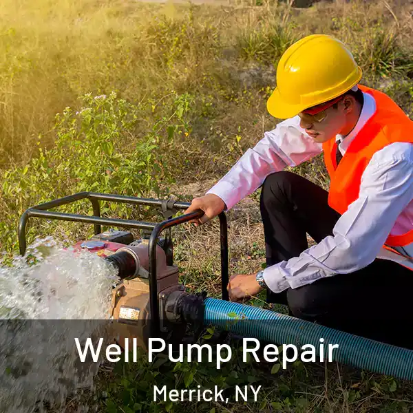  Well Pump Repair Merrick, NY
